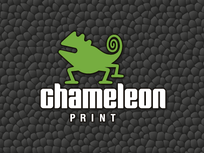Chameleon print